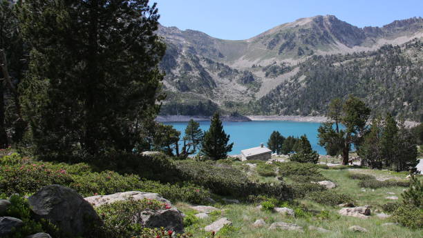 istock Neouvielle National Nature Reserve 831023768