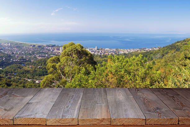 istock Empty wooden flooring against the Black Sea 831024174