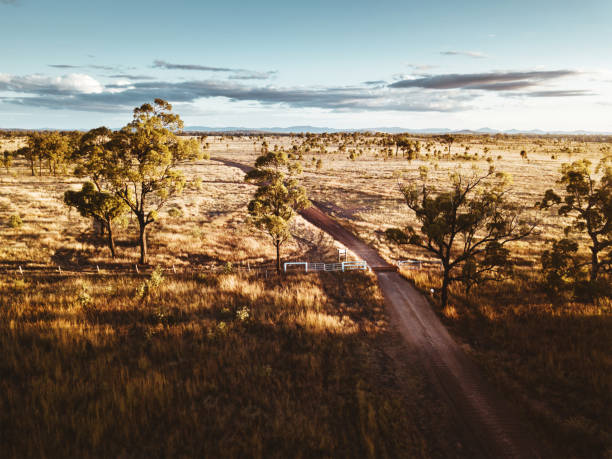 luftaufnahme des hofes in new south wales landschaft - australia new south wales aerial view landscape stock-fotos und bilder