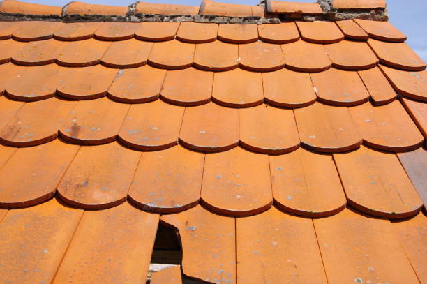 Beaver roof tiles