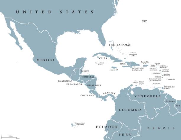Middle America political map Middle America political map with borders and English labeling. Countries of southern North America, the nations of Central America and the Caribbean. Gray illustration on white background. Vector. central america stock illustrations