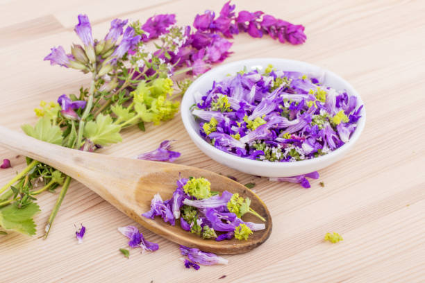 istock violet, edible flowers 831046258