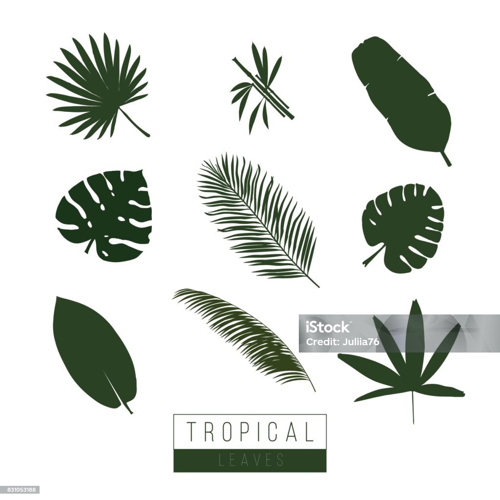 Abstract geometric composition of triangles Vector tropical leaves isolate on white. Palma, bamboo, exotic plants. Symbols icons. Art. Tropical Flower stock vector