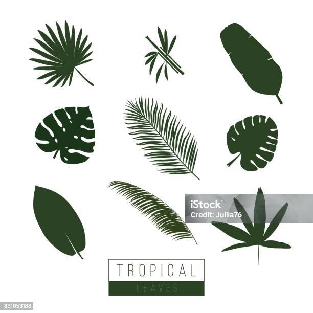 Abstract Geometric Composition Of Triangles Stock Illustration - Download Image Now - Tropical Flower, Vector, Palm Leaf
