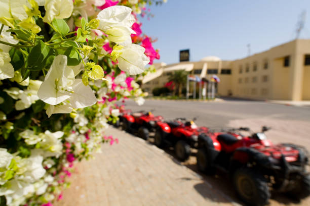 istock Flowers in the background of parked ATVs. 831060650