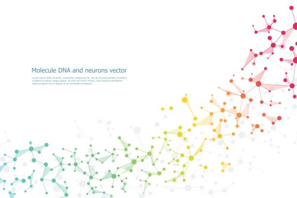 Structure molecule dna and neurons, connected lines with dots, genetic and chemical compounds, vector illustration Structure molecule dna and neurons, connected lines with dots, genetic and chemical compounds, vector illustration neuron schema stock illustrations