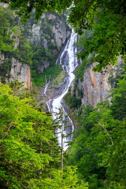 istock Waterfall in Rainforest Mountain in Hokkaido, Japan 831071268