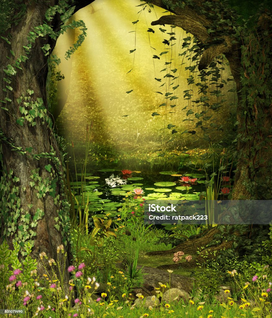 魅惑の妖精の森の池 - 森林のロイヤリティフリーストックフォト