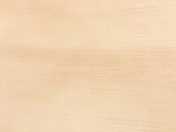 istock Light wood texture background surface with old natural pattern or old wood texture table top view. Grain surface with wood texture background. Organic timber texture background. Rustic table top view. 831086722