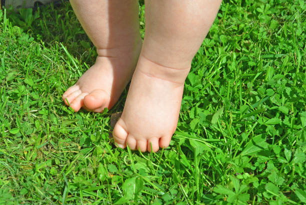 istock Baby feet on the grass 831103356