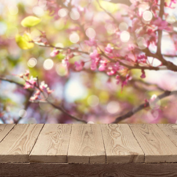 istock Empty wooden deck table over blooming tree bokeh background for product montage display. Spring concept 831109812
