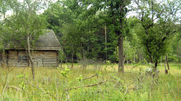 istock wooden, abandoned house 831113458