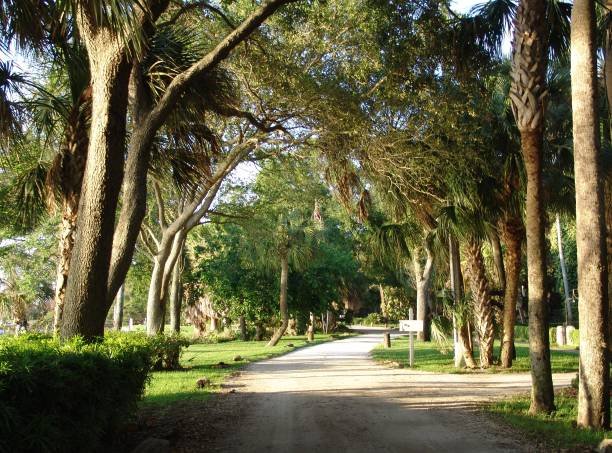 istock Historic waters edge road overlooking Clearwater Harbor 831114630