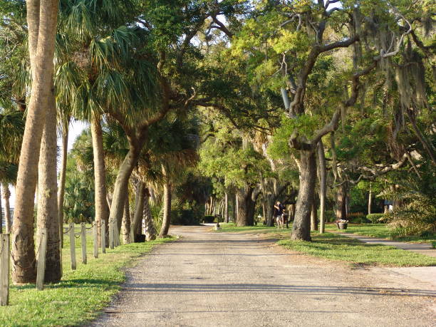 istock Historic waters edge road overlooking Clearwater Harbor 831114652