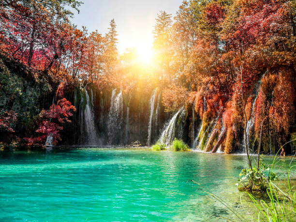 istock Waterfall in autumn forest at National Park Plitvice Lakes 831117214