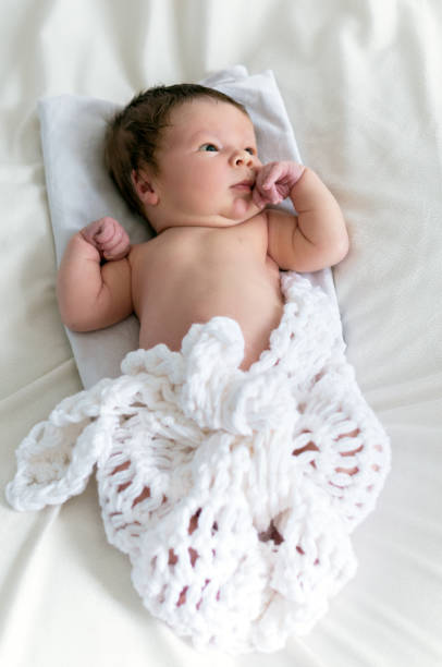 istock Two weeks old baby boy  wrapped in the blanket knitted 831117232