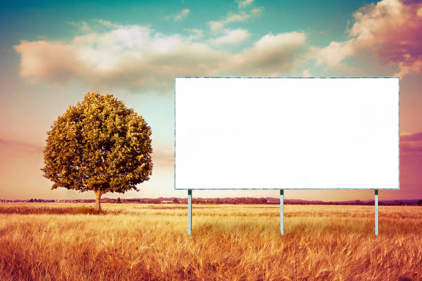 istock A blank advertising billboard in a wheat field - Toned image with copy space 831117264