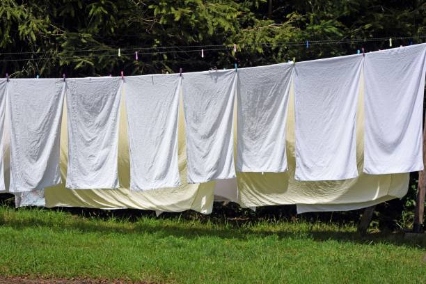 istock White bedding sheets drying naturally in the sunshine 831121298