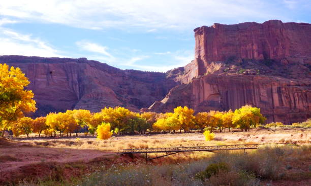 istock Spectacle scenery of Navajo valley. 831124854