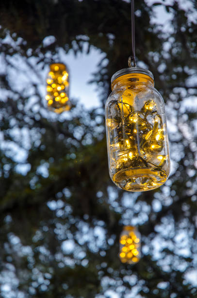 istock Glass Jars with Christmas Lights Hanging from Oak Trees 831124900