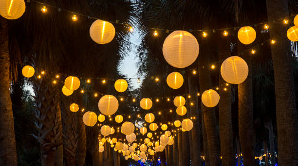 istock Chinese Lanterns Hanging from Palm Trees 831127606