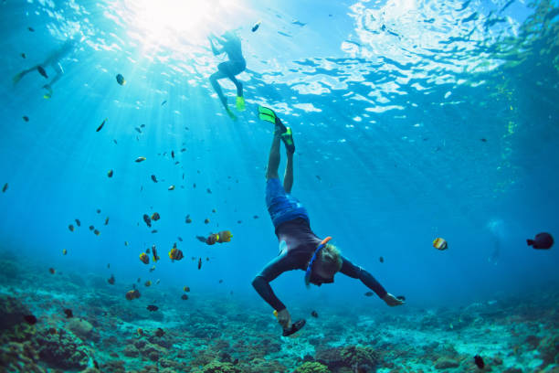 Young man in snorkelling mask dive underwater Happy family vacation. Man in snorkeling mask with camera dive underwater with tropical fishes in coral reef sea pool. Travel lifestyle, water sport outdoor adventure, swimming on summer beach holiday snorkel photos stock pictures, royalty-free photos & images