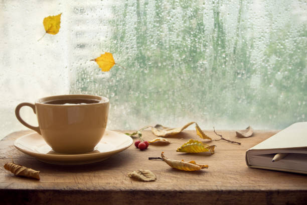 istock Cup of autumn tea (coffee, chocolate) 831131002