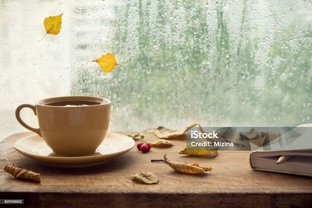 Cup of autumn tea (coffee, chocolate) Cup of autumn tea (coffee, chocolate) with note book and yellow dry leaves near a window, copy space. Hot drink for autumn cold rainy days. Hygge concept, autumn mood. Book Stock Photo