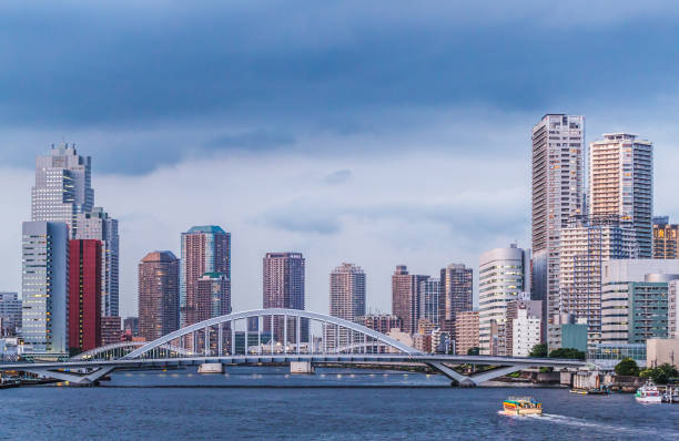 istock The sea of Tokyo 831131782