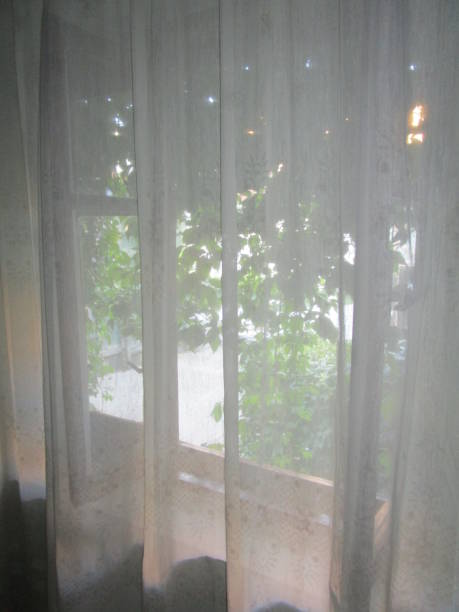 istock Window at the farmhouse 831137162