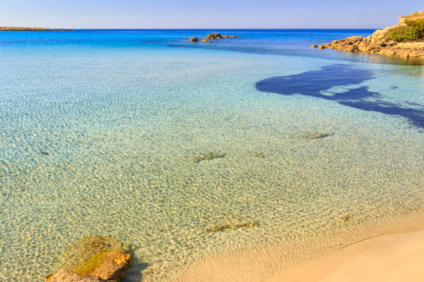 istock Salento coast: typical beach with sandy coves and cliffs.ITALY, Apulia. 831138426