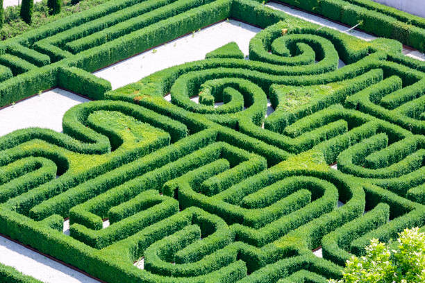 istock High angle view of a labyrinth park in Venice Italy 831138504