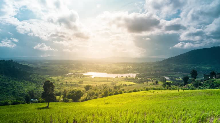 Beautiful Sky Above Swamp in The Green Valley.