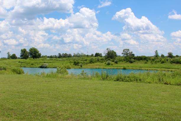 istock Landscape of Park 831149396