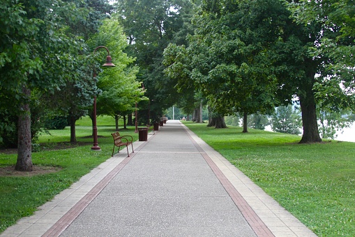 The walkway in the park under the shade trees.