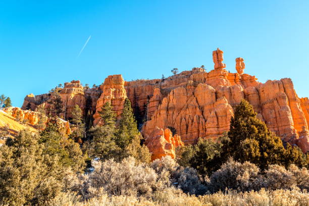 istock Red Canyon Park, Utah-USA 831149794