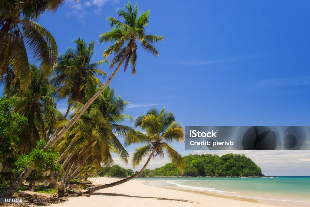 Plage paysage Tropical - Photo de Nosy Be libre de droits