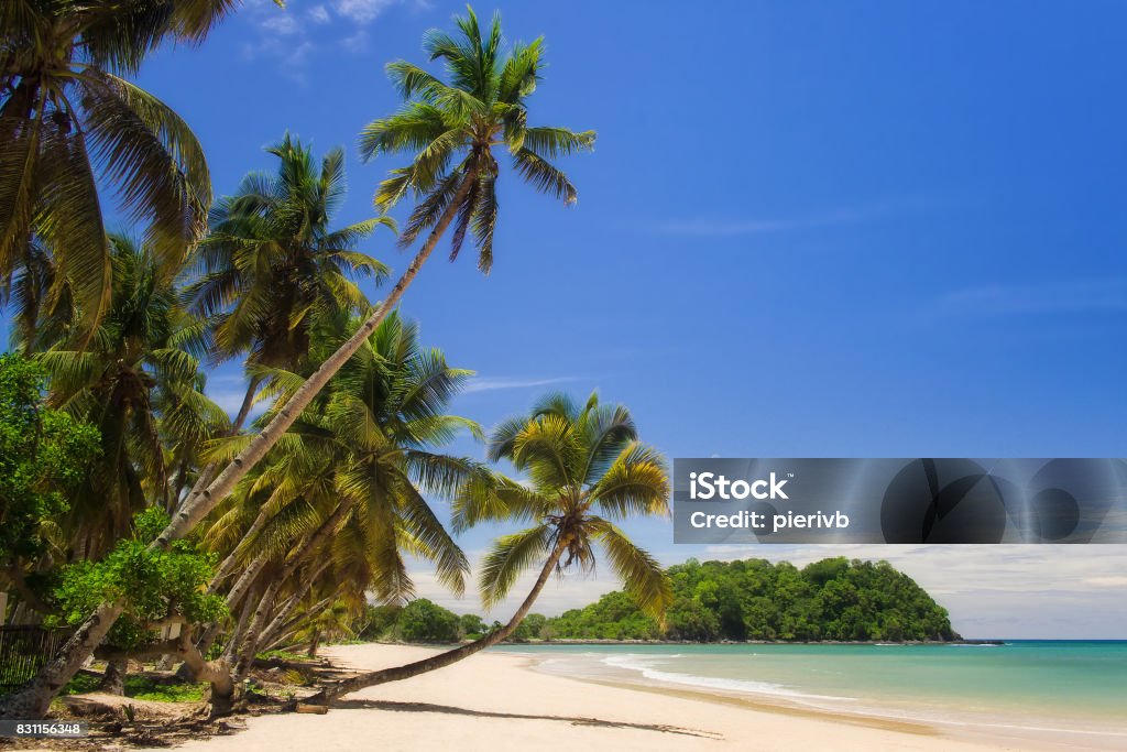 Tropical beach landscape Beautiful tropical sandy beach, seascape with palm trees Nosy Be Stock Photo