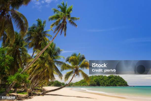 Tropical Beach Landscape Stock Photo - Download Image Now - Nosy Be, Madagascar, Beach