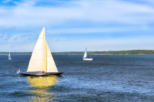 istock Sailing regatta in Helsinki, Finland 831159914