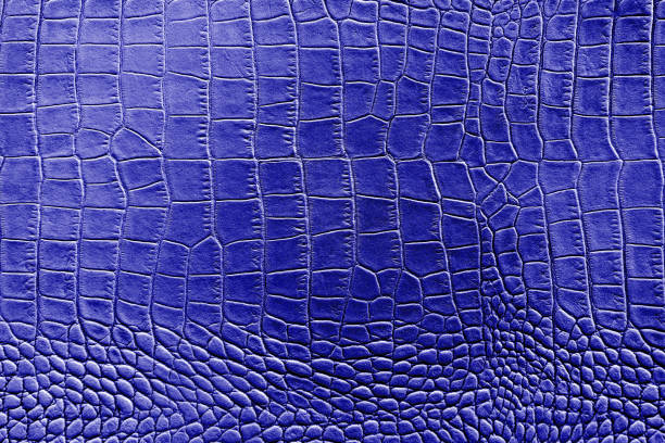 istock Dark blue color texture pattern abstract background can be use as wall paper screen saver brochure cover page or for presentation background also have copy space for text. 831160530