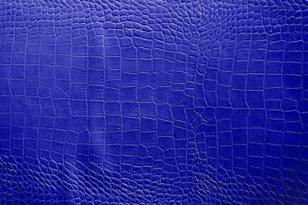 istock Dark blue color texture pattern abstract background can be use as wall paper screen saver brochure cover page or for presentation background also have copy space for text. 831160594