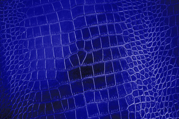 istock Dark blue color texture pattern abstract background can be use as wall paper screen saver brochure cover page or for presentation background also have copy space for text. 831160664