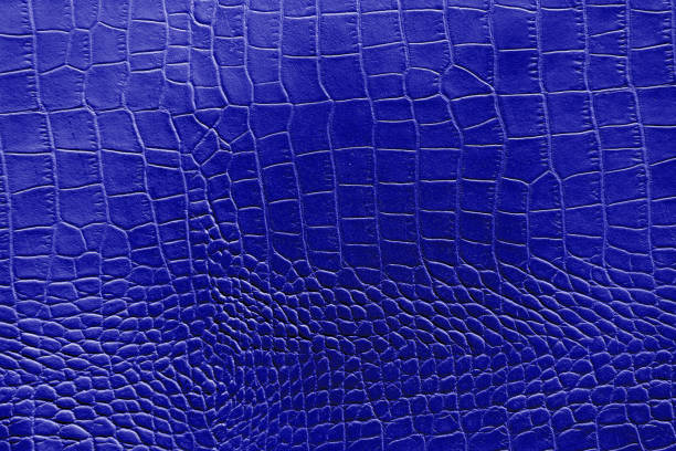 istock Dark blue color texture pattern abstract background can be use as wall paper screen saver brochure cover page or for presentation background also have copy space for text. 831160676