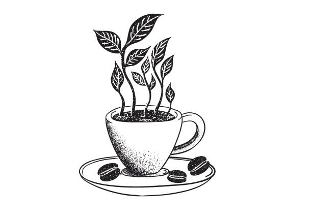 ilustraciones, imágenes clip art, dibujos animados e iconos de stock de café orgánico - coffee cup coffee coffee crop coffee bean