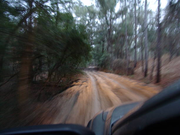 istock Dirt trail through Florida's Withlacoochee State Forest 831176756