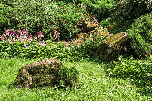 Large stones overgrown with moss in the center of a Japanese garden.