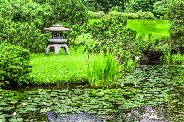 istock Quiet pond in the Japanese garden 831188220