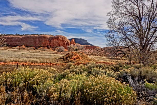 istock The way to autumn in Arizona. 831190418