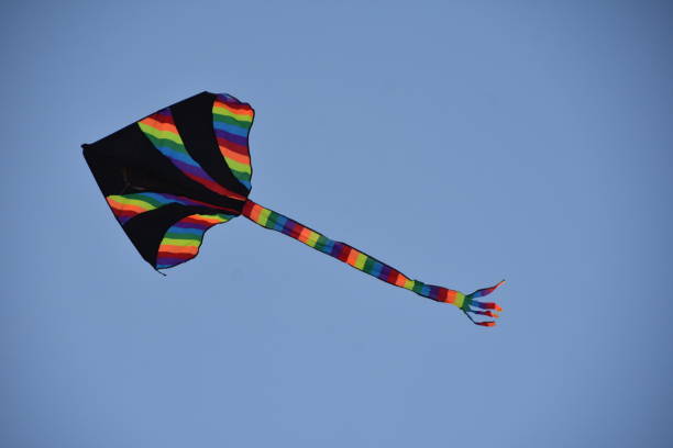 istock A kite flies in the wind 831206374